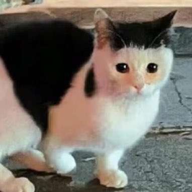 teddyvsr6121's tweet image. 😭😭😭😭😭😭😭😭😭