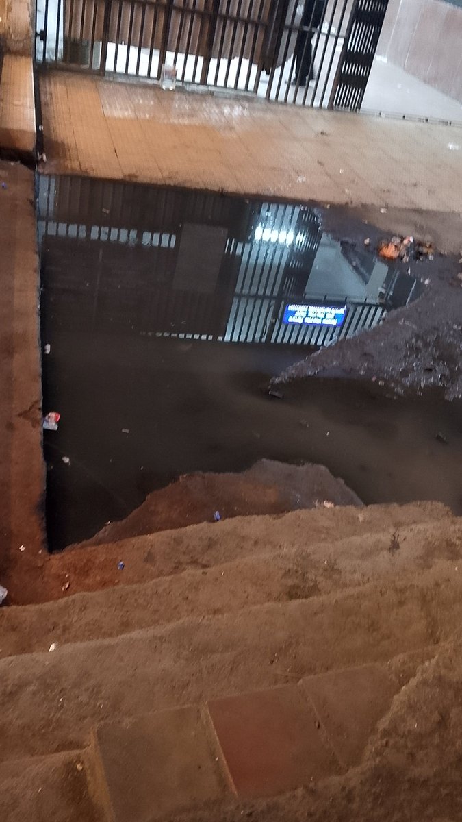 ViegDaisy's tweet photo. @WesternRly @drmbct 
Location: Bhyandar Station West
Near old booking office.
Dengue mosquito breeding site.

Please arrange to level the area and ensure adequate drainage so mosquitoes don't breed

Cleanliness needs to be maintained in adjacent area too. https://t.co/NpQvMbMcvW