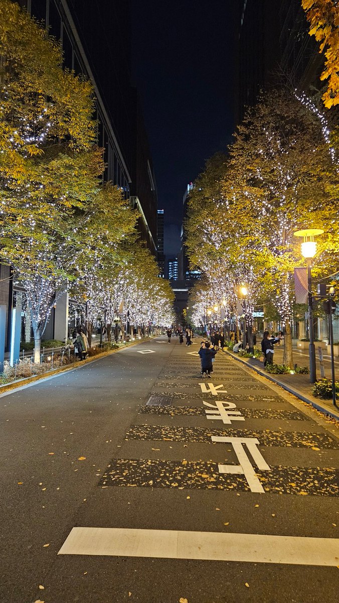 帰り道が同じFP学生会スタッフと丸の内のイルミネーション見てきた✨楽しかった！明日も会うので楽しみだなあ～