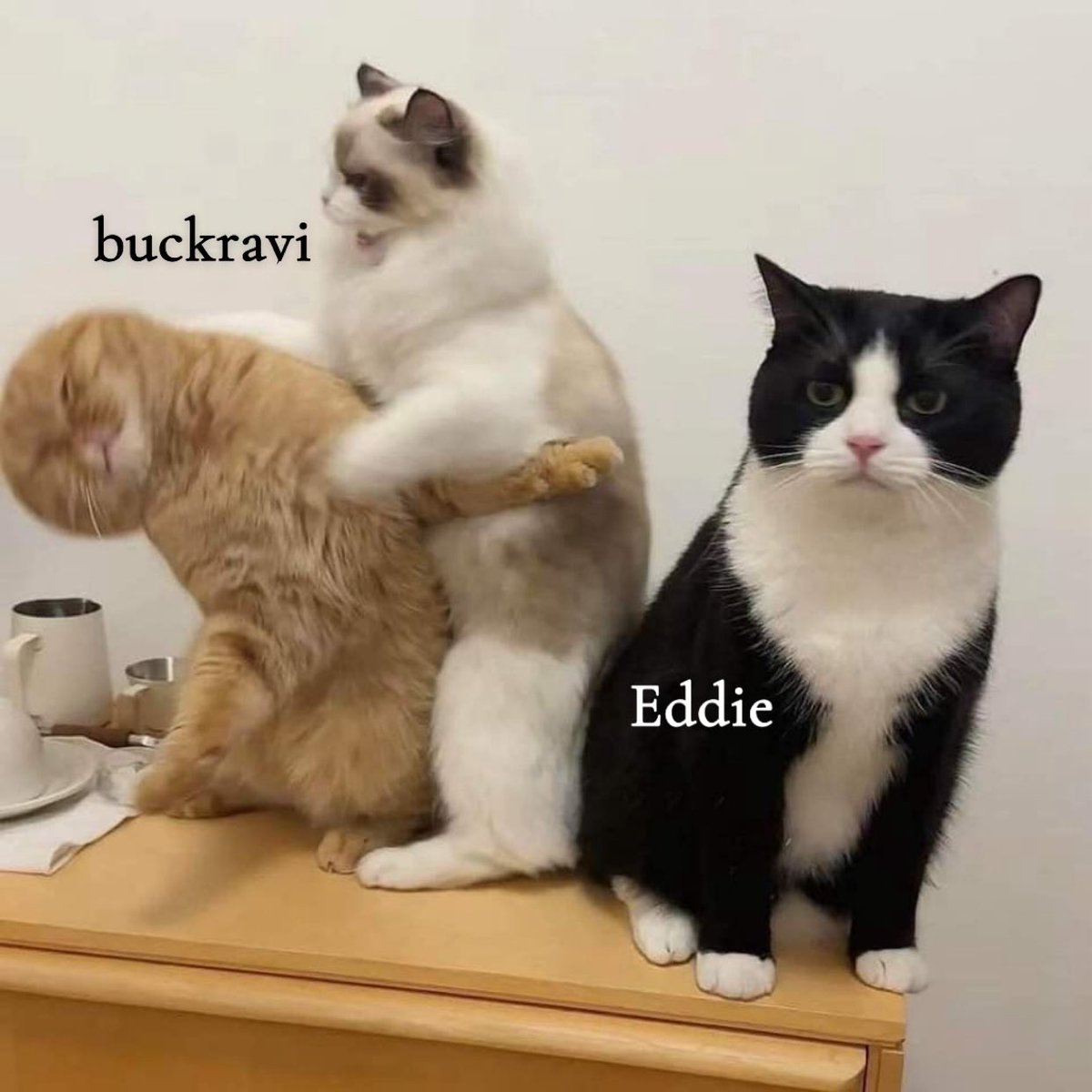 ravipanikkat's tweet image. almost every chat fic ever