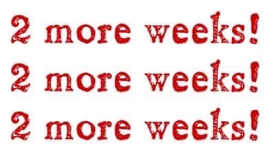 We are only 2 weeks away from our 2025 Downeast Baseball Hitting Camp to be held on Dec 6!  Spots are filling up fast! Registration is still open, but will close no later than December 1. Sign up if you have not done so! We look forward to a great camp!
downeastbaseball.org