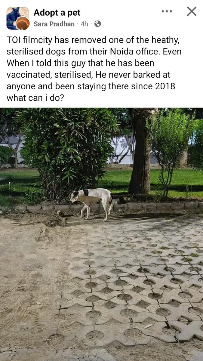 Is this true <a href="/vineetjaintimes/">Vineet Jain</a> ?
<a href="/timesofindia/">The Times Of India</a> 
You guys charge a bomb, earn a bomb. You can't even keep a dog at your premises who have been happily living in your area?
Shame on you. 
#Noida #saveindiandogs