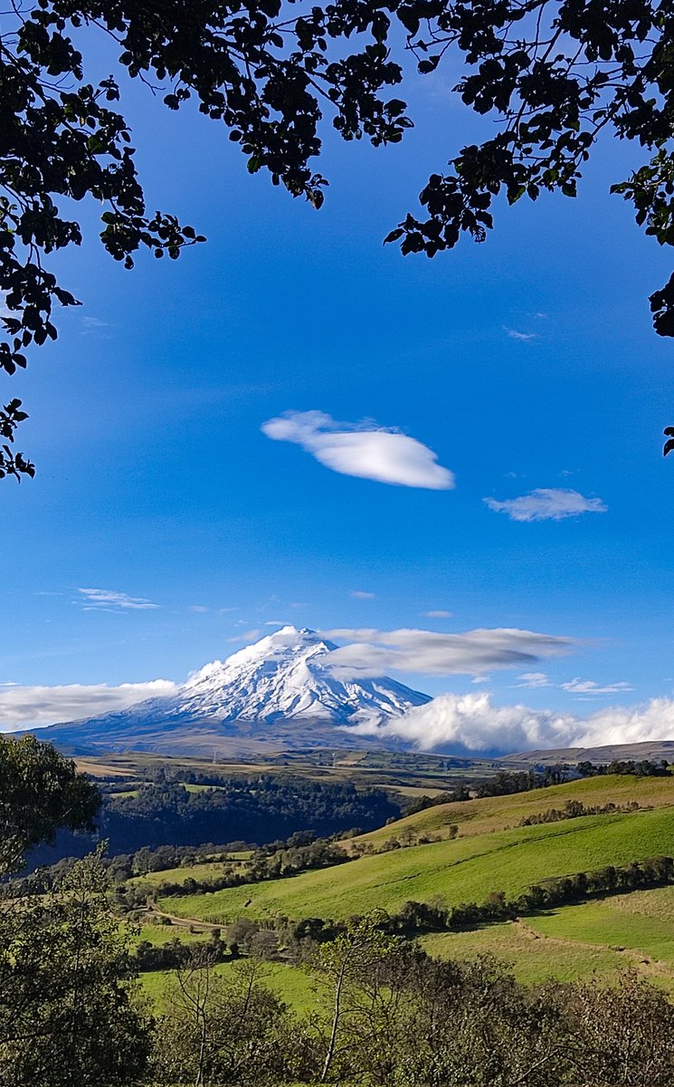 Sandy Espinoza F tweet media