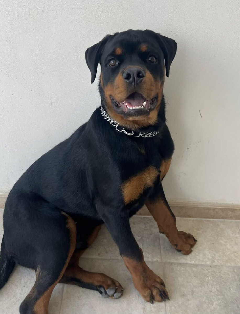 Vi aspetta portate la bandiera rossa 🖤