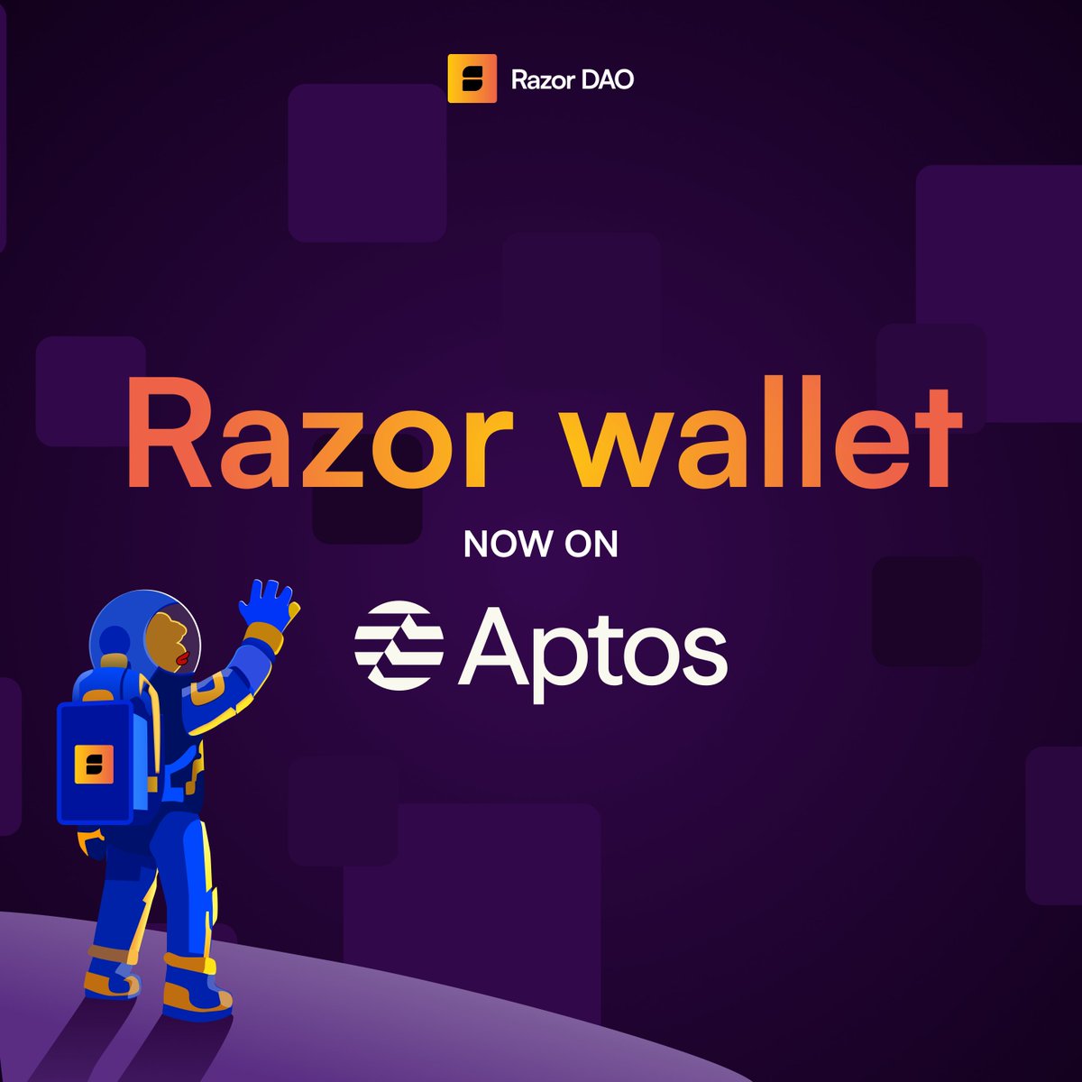 RazorDAO's tweet image. Two years ago, Razor launched on @movementlabsxyz; in love with the MoveVM and all it had to offer. 
Two years later, we&apos;re happy to announce that as part of our MoveVM expansion, we&apos;re integrating @Aptos into the wallet.
This is the first step in a multistep RazorDAO roadmap.…