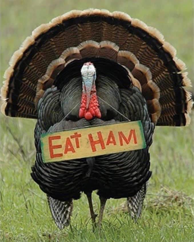 <a href="/catturd2/">Catturd ™</a> Cooking up a storm ❤️🍁🤩