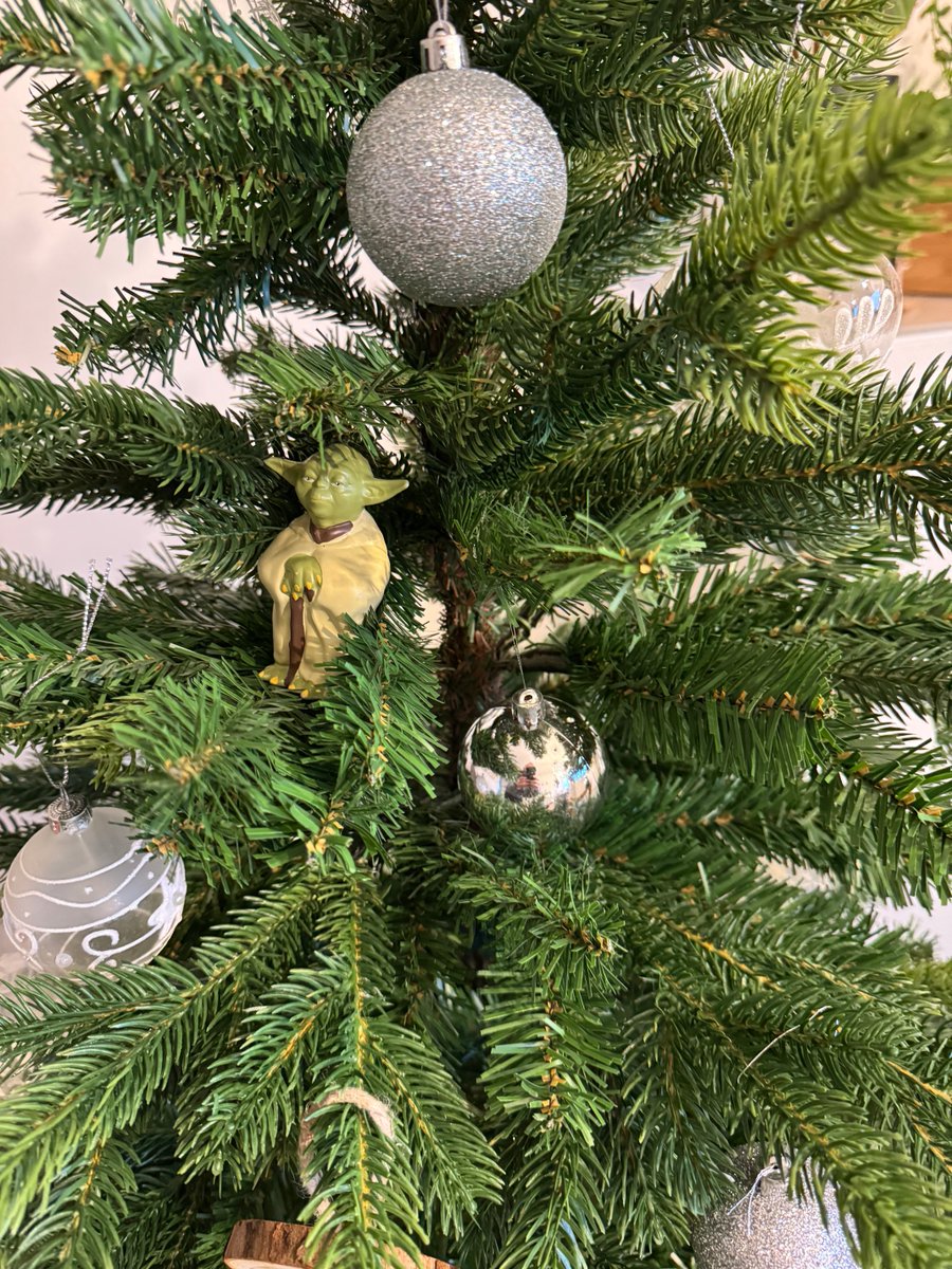 Fare l’albero o non fare, non c’è provare.