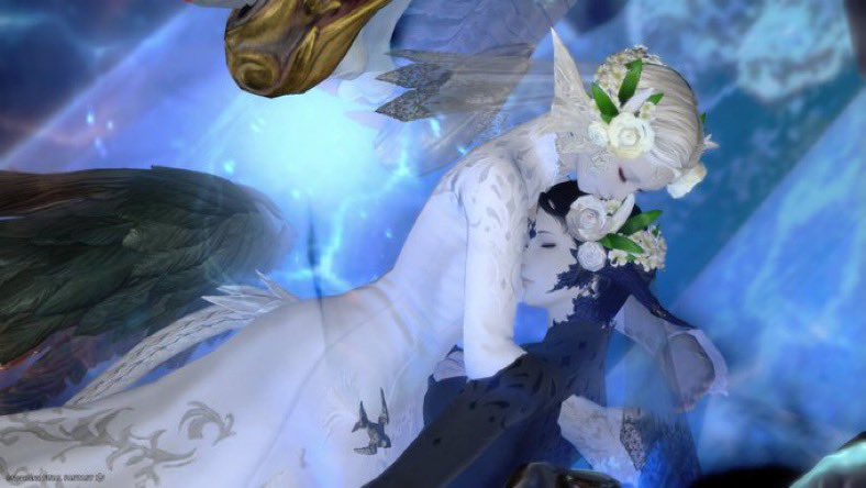 WolfAdd9's tweet image. そいえばあげてなかった！様子がおかしいエタバンの前撮り
#5時半定時