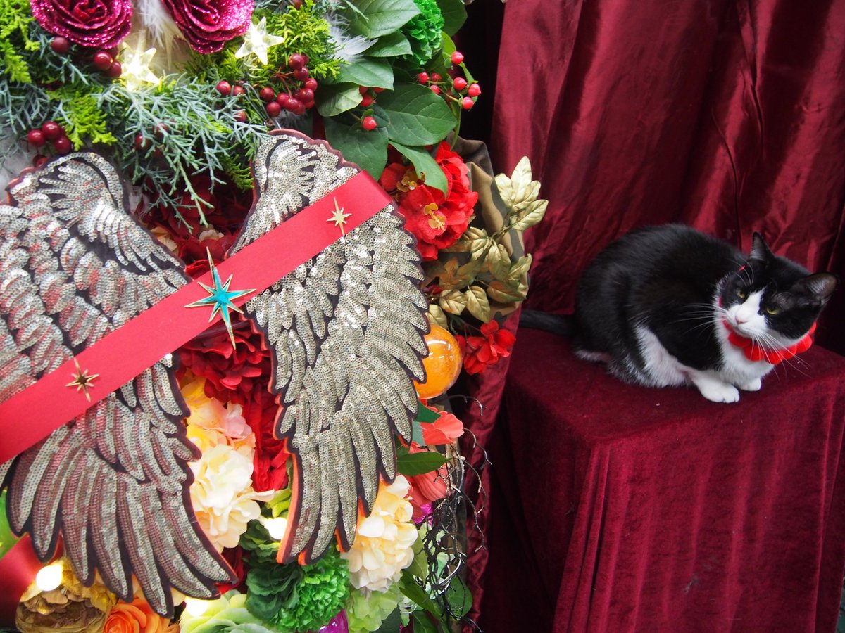 8787neko's tweet image. 「Ensemble Stars!! Cast Live Starry Symphony
- Superbloom -」
#あんスタ　#スタフォニ　#Flambé!
#七種茨
#逢坂良太郎　様宛
　『クリスマスツリーっぽいんだけど高さ制限あるから諸々妥協してMVの雰囲気で推しカラーを混ぜたフラスタですにゃ！🐱』

#フラスタ　#スタンド花　#花猫庵