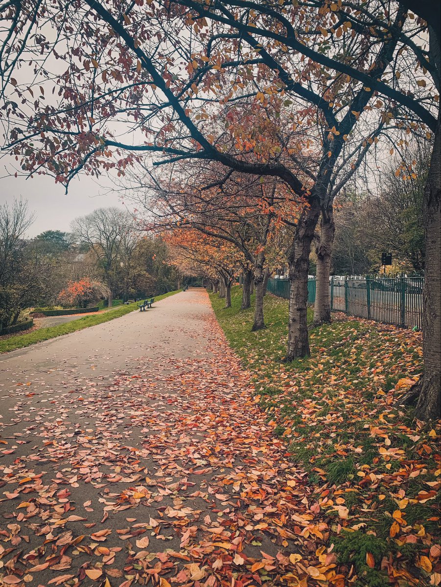 Autumn at Crookes Valley Park.

#TheOutdoorCity #ParksSheffield #AutumnColours