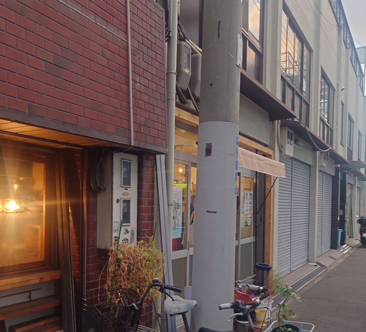 たかさん／たかち ょん🐰 tweet media