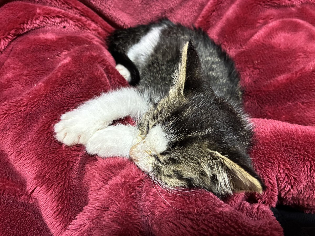 …….！！！😭😭😭😭😭