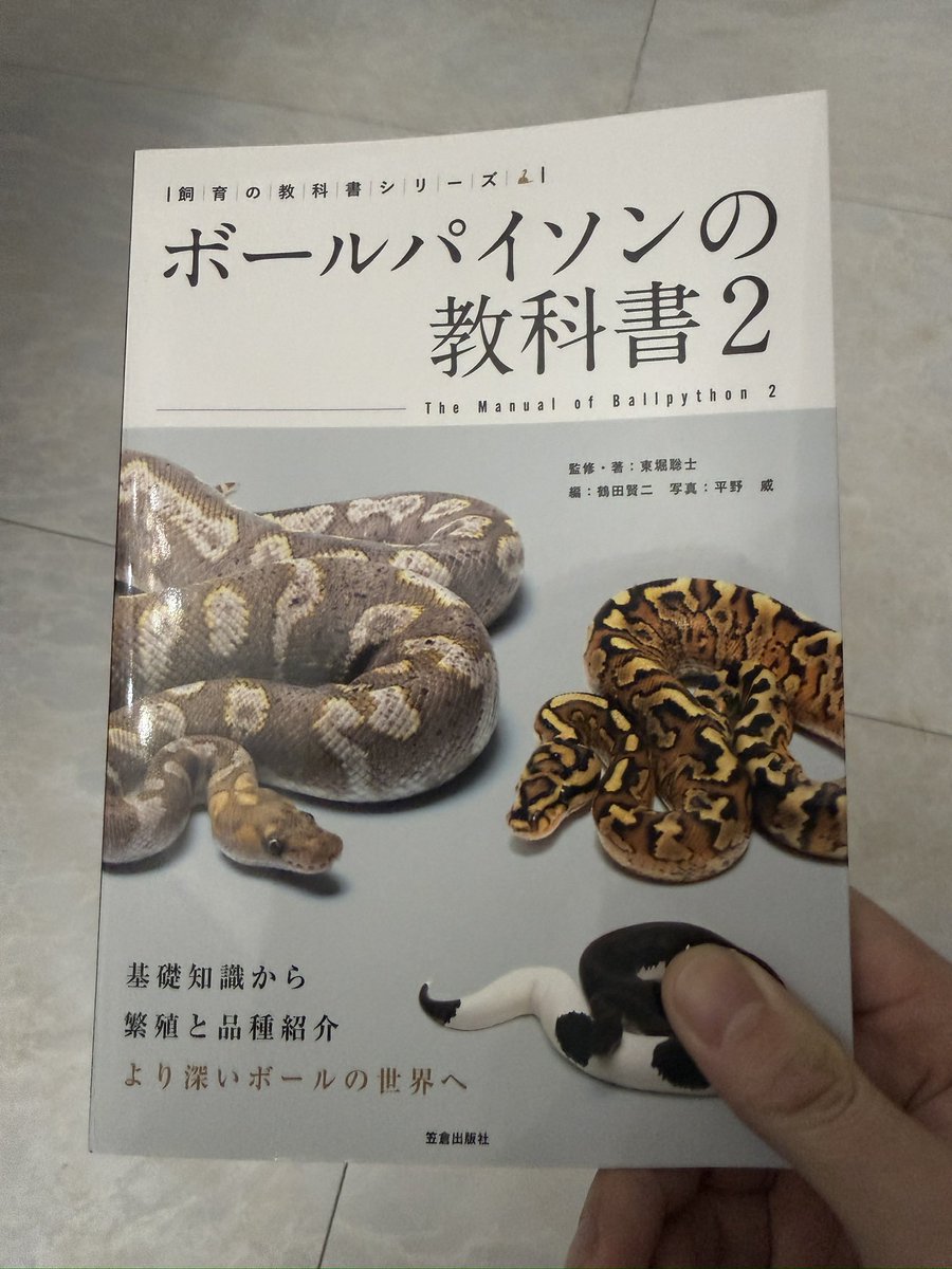 やったー🙌
ラス1ゲット🥳
#ボールパイソン