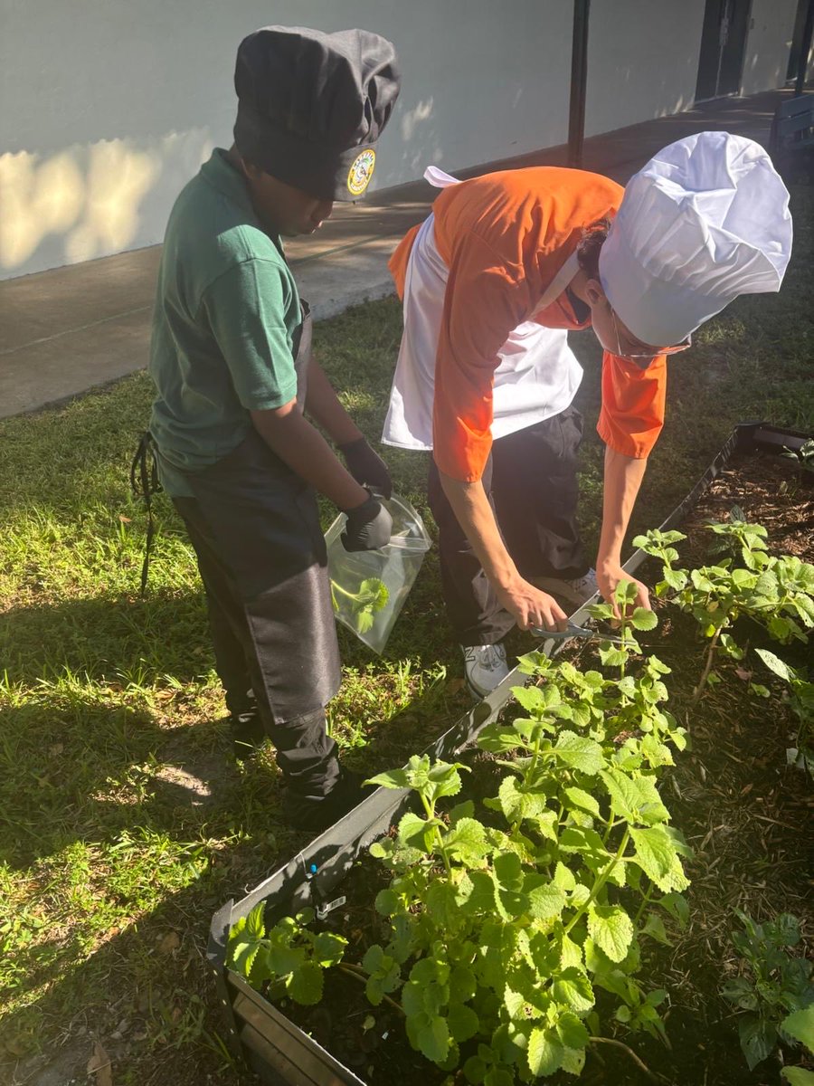 JamesGriffin_II's tweet photo. Larkdale Elementary just opened its NEW Culinary Program!
This is how we shift career education—start early, build pathways, connect schools, create futures. Boyd Anderson is all in.
Thank you Principal Fairclough, Director Loli Formosso & BCPS CTE!
@NandraneW @msformoso https://t.co/lt4TMQpkyl