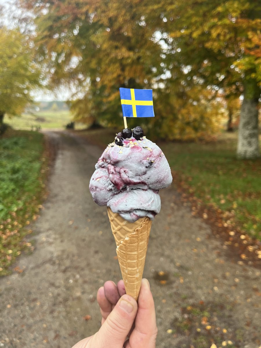 mossagarden's tweet photo. Sååå exalterad över att få bjuda en spännande, samhällsengagerad besökarskara på vår cirkulära hampaglass med smak av 💜 blåbär och krokiga morötter 💜!

🧡 Nu kan man också rösta på oss inom Publikens Pris inom finalen av Ät!Stockholm! 🧡

Menti kod: 5381 0340 ❣️ Rösta gärna ❣️ https://t.co/KrPbFdJ3aF