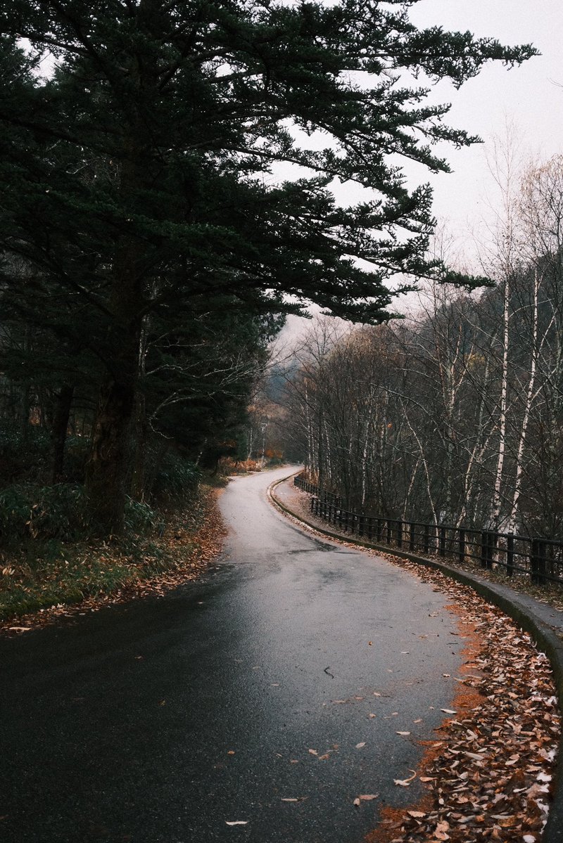 MimeOsen's tweet image. Jour 12 au Japon : les magasins y ferment avant 17h, il fait nuit dès 16h30 et il n’y a rien à faire à part se prélasser dans de grands bains chauffés en contemplant la montagne : bienvenue à Hirayu Onsen avec ses 1000 et quelques habitants