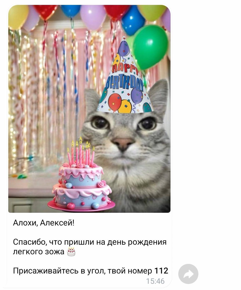 Tarmiu's tweet photo. @bardulya Спасибо за такую крутую возможность https://t.co/R4d3HfdsK7