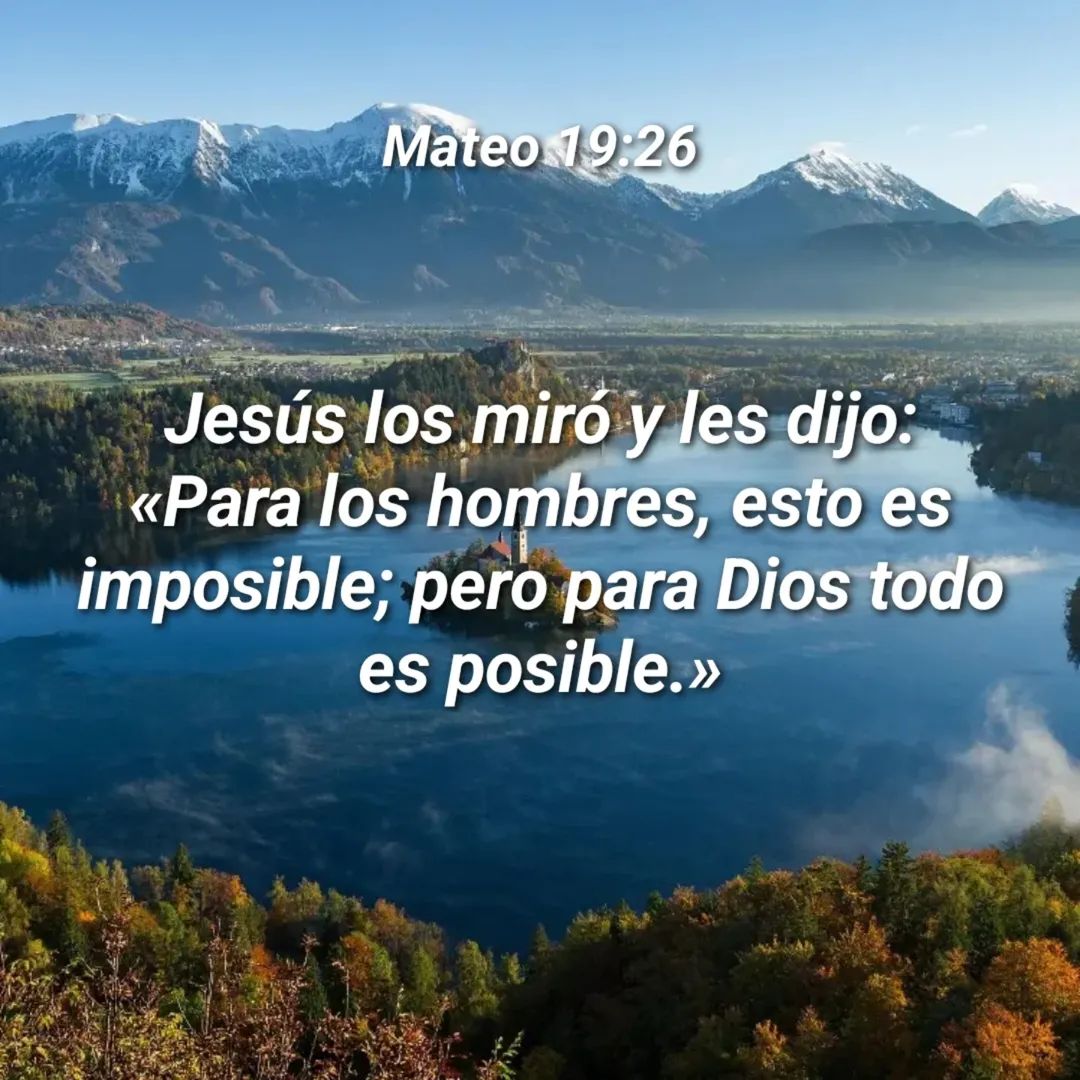 dani1975edm's tweet image. La Gloria es de Cristo Jesús 🙏 
Amén