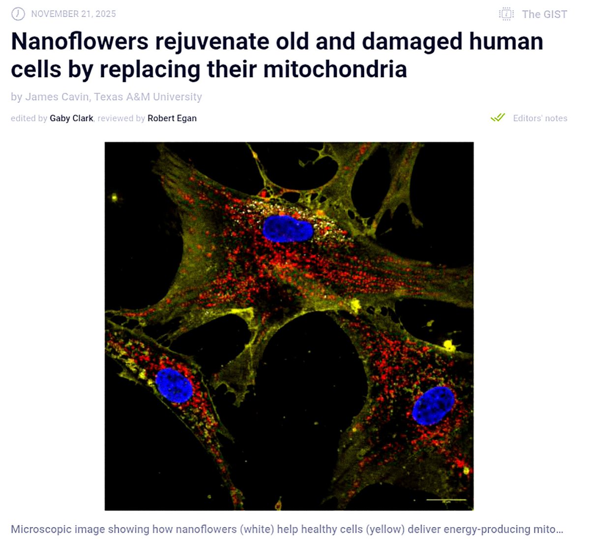 Longevity breakthrough

Researchers unveil a nanotech method to rejuvenate damaged human cells by restoring their lost energy.

&gt; Scientists at Texas A&amp;M have engineered “nanoflowers,” tiny molybdenum-based particles designed to dramatically boost a cell’s internal power