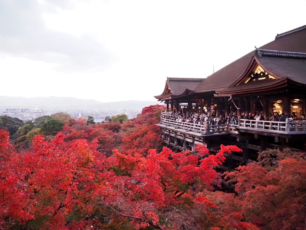 11ppo0's tweet image. 昨日の京都清水寺～🍁