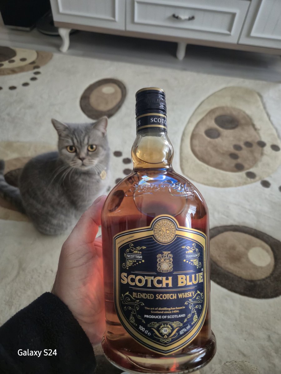 Taze taze Kıbrıs dan geldi dadına  bakalım