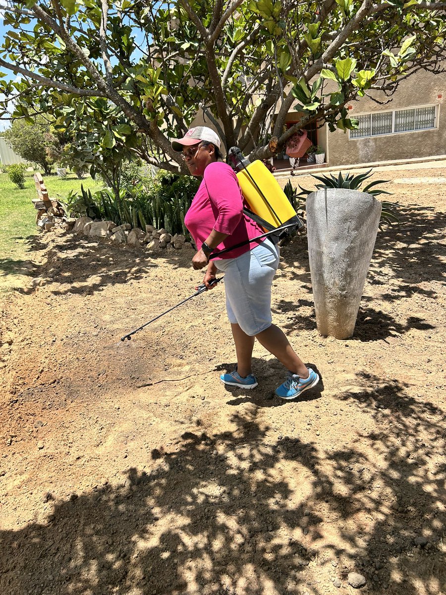 This week was non-stop: early mornings, late nights, missed workouts. So I brought the gym to the garden. Planted some lawn seed, soaked up the sun, and just grateful for what's to come. A reminder that you can always press reset. 🙌💕🙏🇿🇲