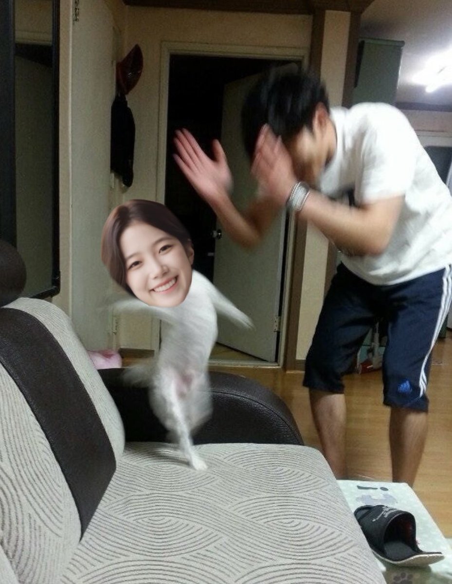 gimmalong1889's tweet image. 어 카즈하 최고야 
카즈하 제일 잘해 
카즈하 짱이야