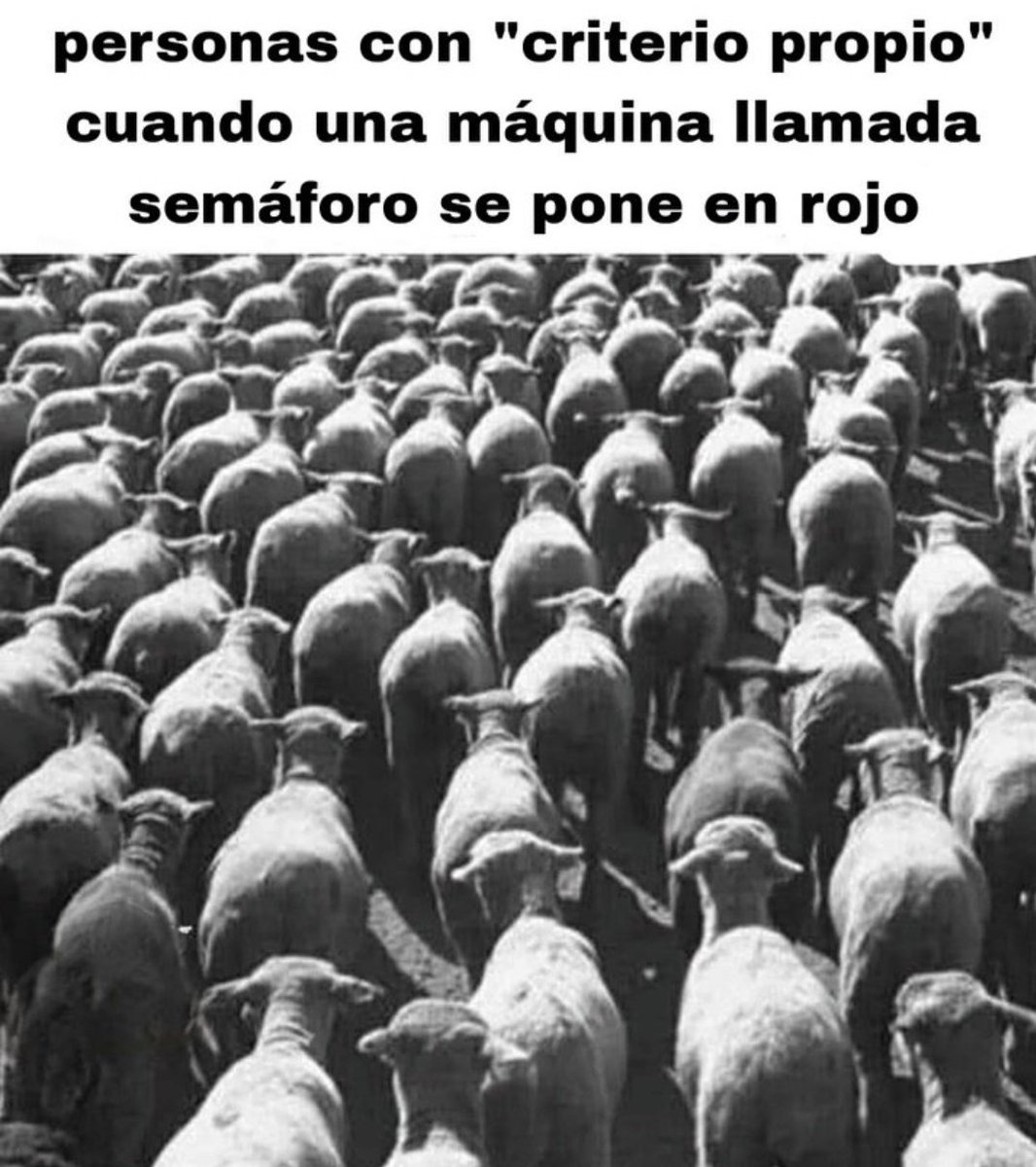 Andreuet_'s tweet image. 