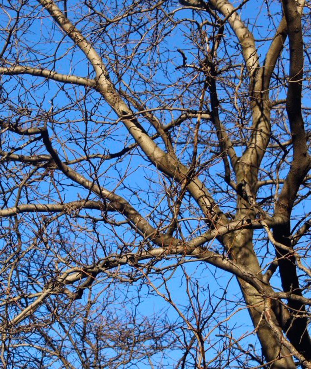 Music can change the world - Beethoven
On St. Cecilia’s Day, how is music changing your world today? 🎻🎹🎤 !  
#StCecilia #Musicians #SaturdayThoughts #SaturdayMotivation