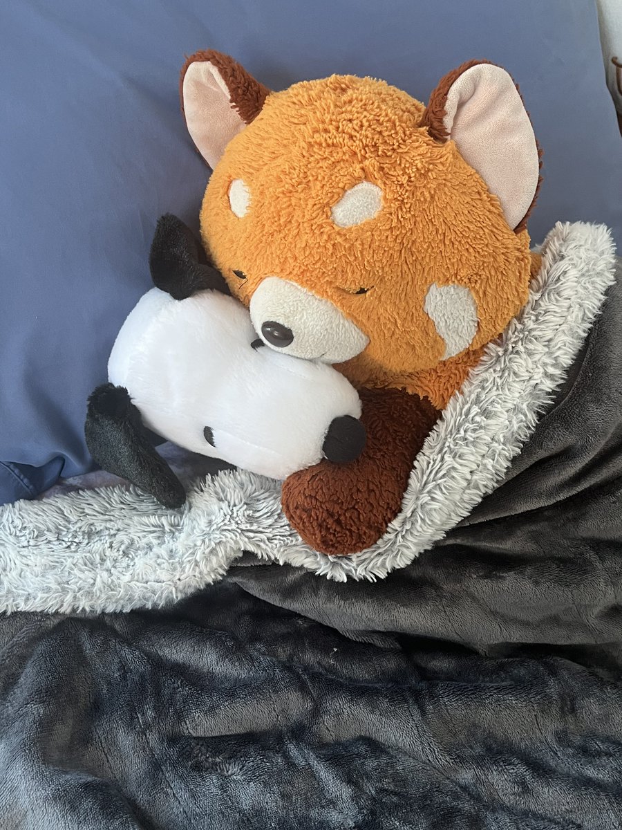 hxrtstrngs's tweet photo. Cherry cuddling snoopy….. #Emotional #TryNotToCry https://t.co/OElHXMwlJw
