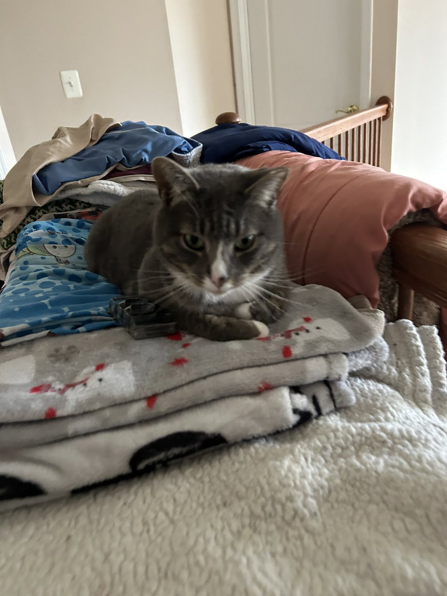 Avuh 🇵🇷 ♡ 🇵🇸 (@avuhalt) on Twitter photo 