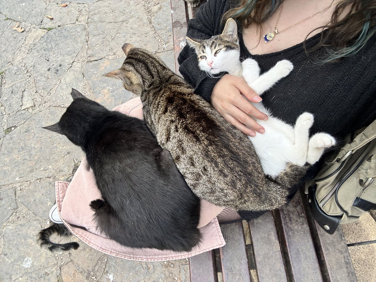 serbettciotu's tweet image. 3 olduk