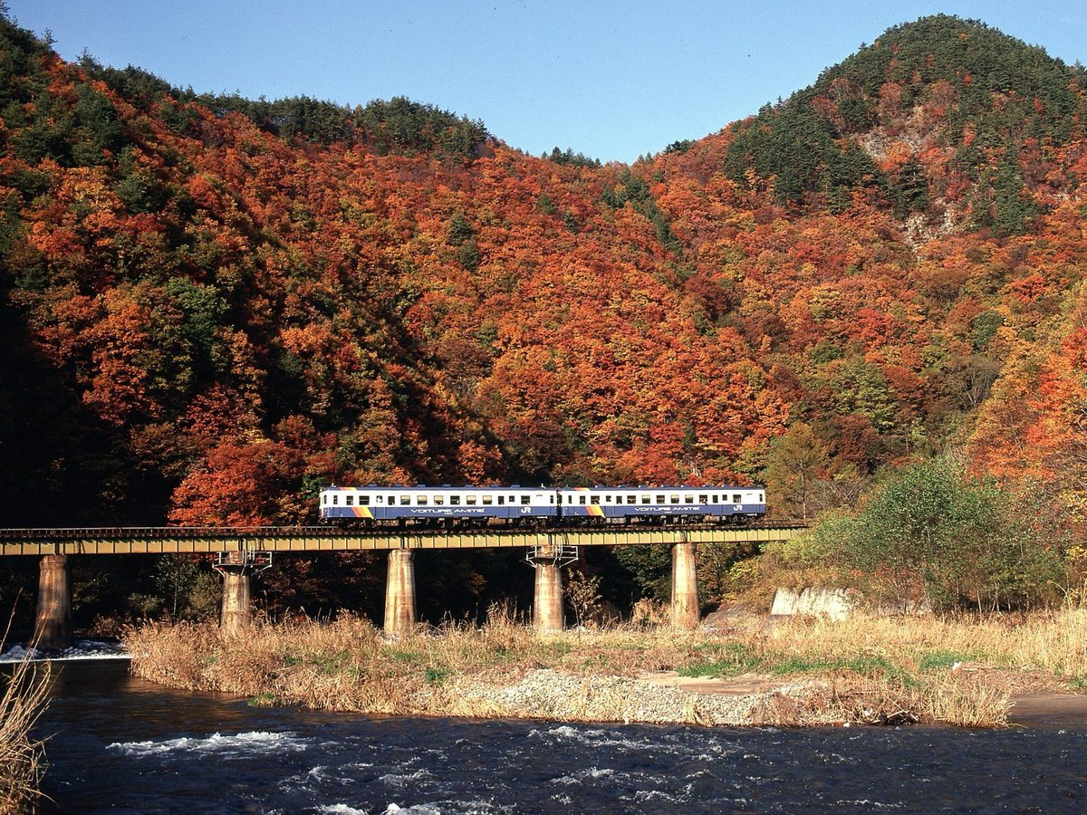 ポム (@cB5rkK6NHSh0CqA) / Posts / X