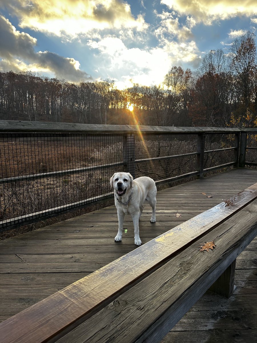 Smile! Pass it on! 😘#DogsofTwitter #SaturdayThoughts