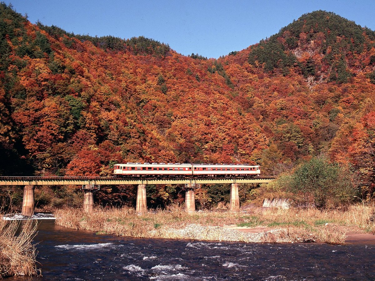 ポム (@cB5rkK6NHSh0CqA) / Posts / X