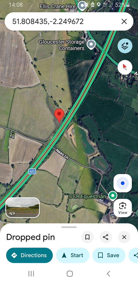 Glossy Ibis flew West over M5 at 1330hrs, Naas Lane area #GlosBirds