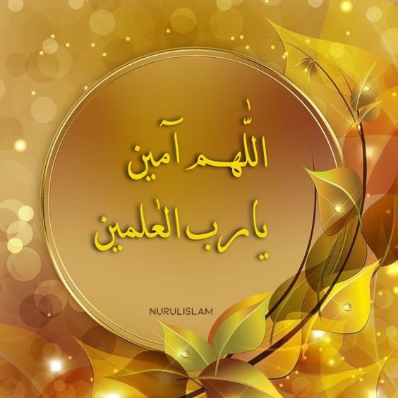 M62687551's tweet image. مساء النور