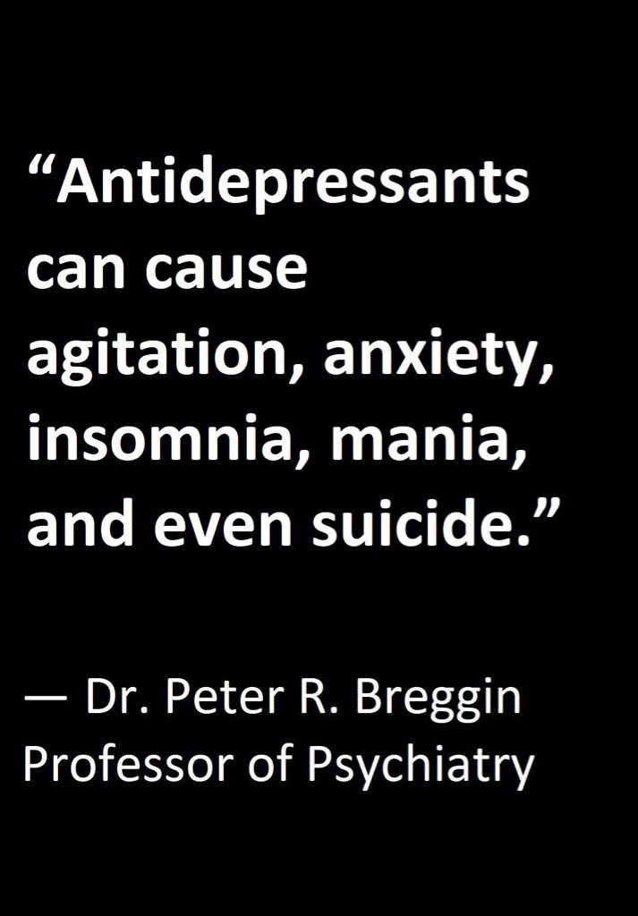 __luzid__'s tweet image. 