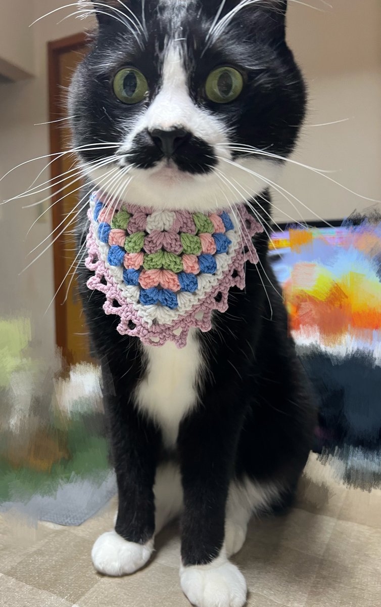 luluonice's tweet image. ペットちゃん用スタイ可愛すぎて気絶してた