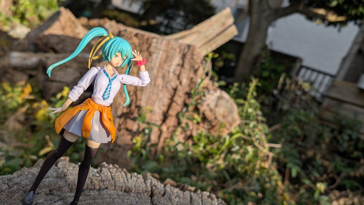 まるみみ まるみの (@marumino555) / Posts / X