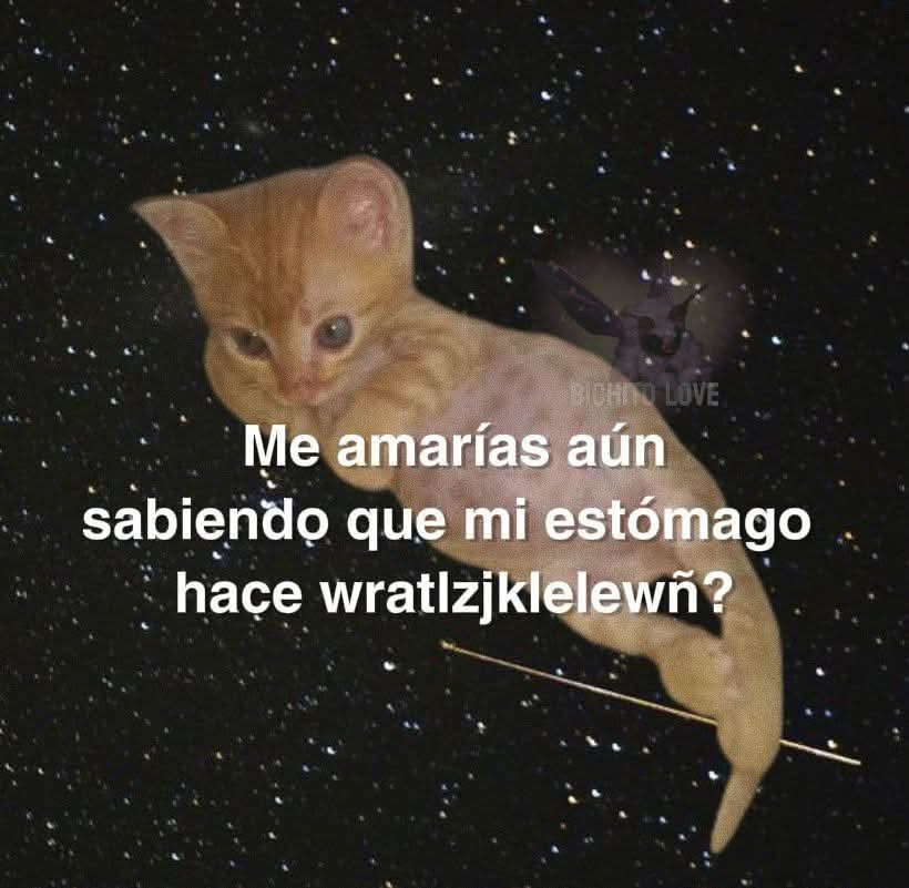 Animalesaprieto's tweet image. ,