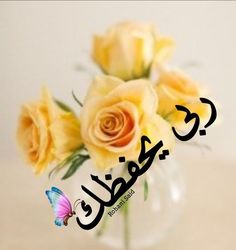 M62687551's tweet image. 