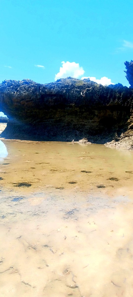 jacob_final's tweet image. GM