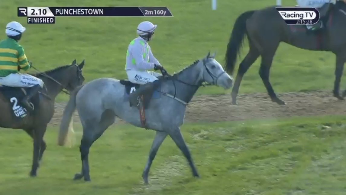 I absolutely love her, she’s like ‘is that the warm up’. Looks ready to go again, what a mare. Up the Lossie 💕
#lossiemouth #punchestown