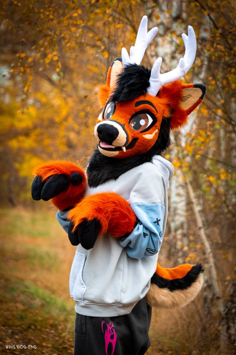 ✨vinyl dog🎏 tweet media