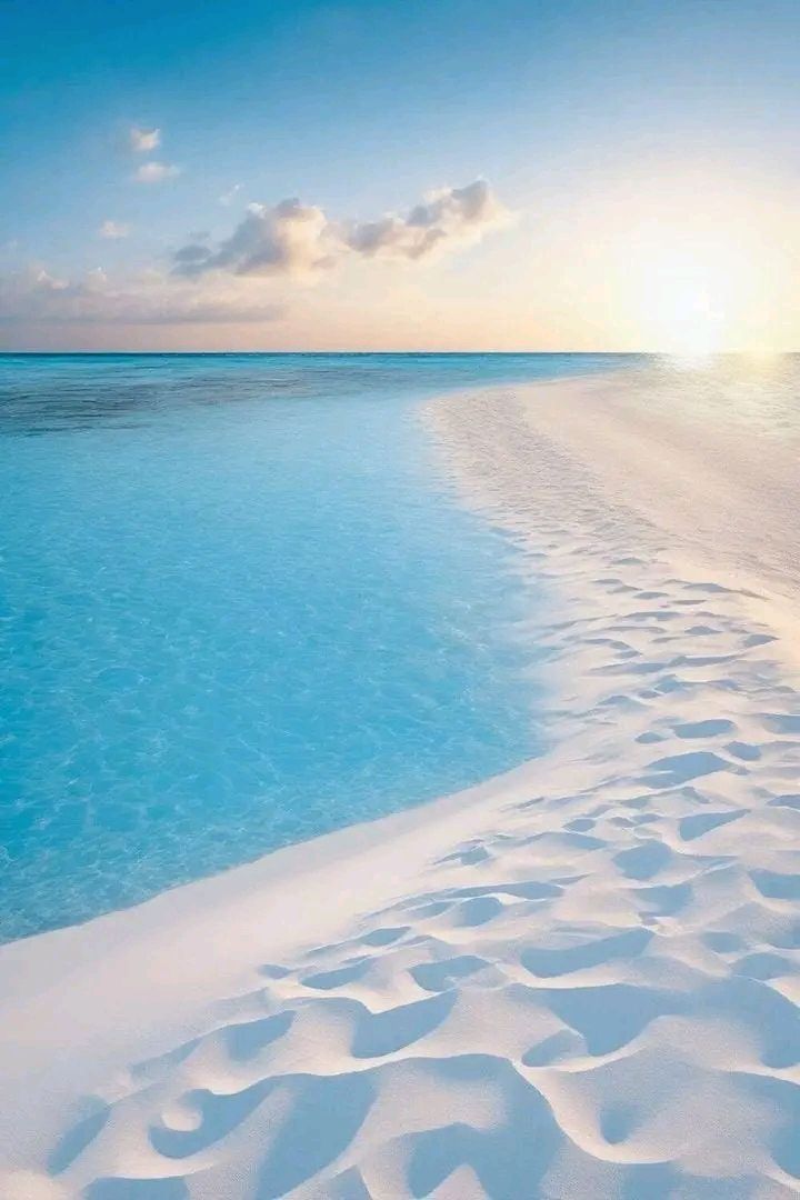 turquesa_711's tweet photo. 🩵 https://t.co/J45SUos2Ca