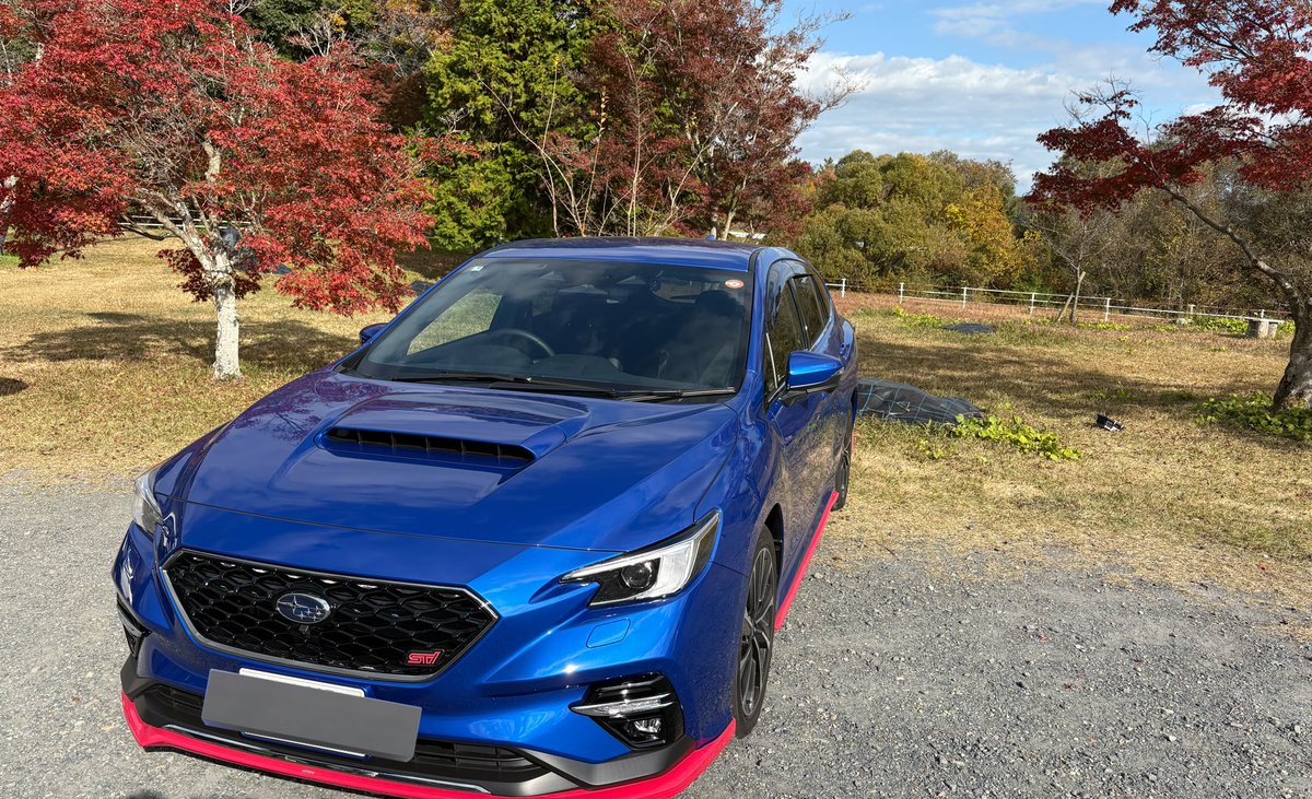 今日は家族の調子も良かったので近場（県跨ぎ）で紅葉見に行ってきました。やっと納車後初めての愛車撮影できました😌色づき的に少し遅かったかなぁと言う印象、でも綺麗でした🍁