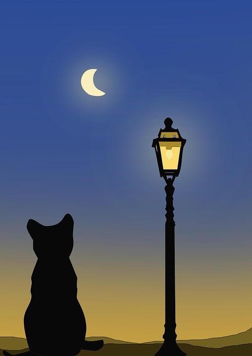 سلام علیکم 
HAYIRLI AKŞAMLAR HERKESE. ☕💫