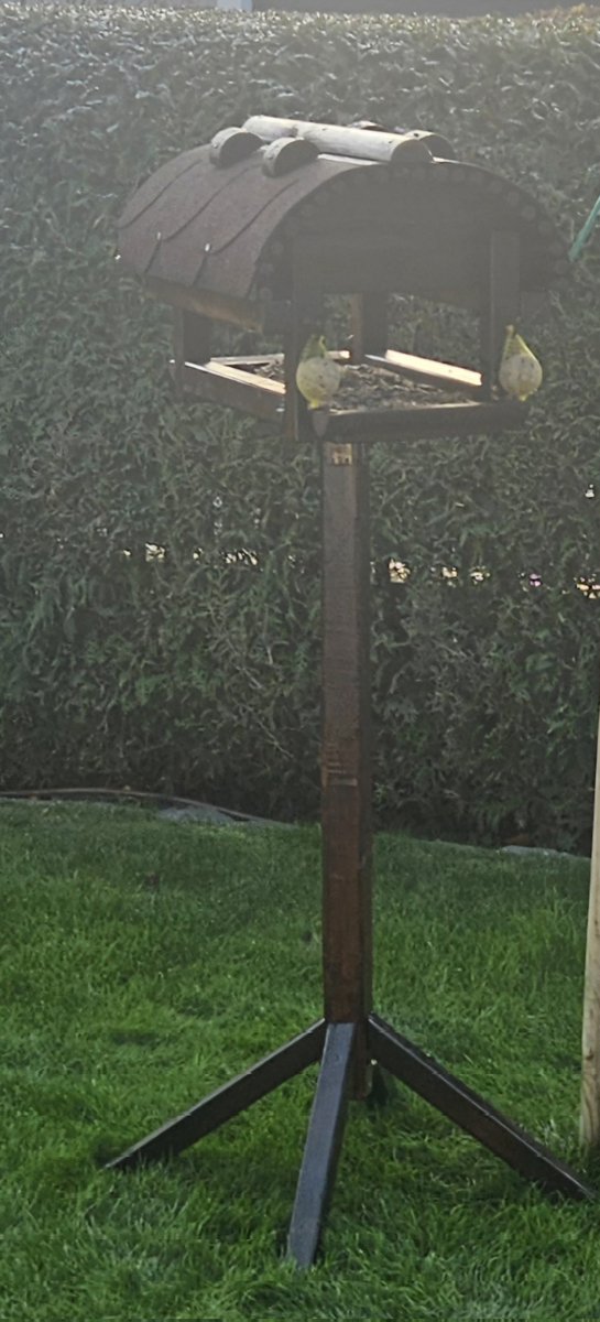 Endlich fertig mit dem Bau für meinen Vogel.😊