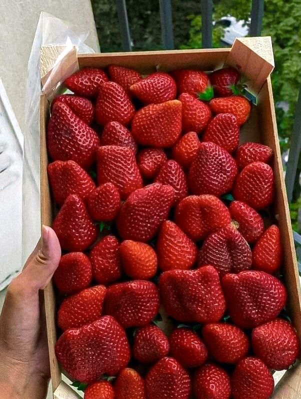 ChefOfXxx's tweet image. 